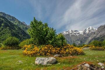 Фотографии Люкс-шатры Cottages SHIKHRA - კოტეჯები შიხრა г. Mazeri (Грузия) №5 Фото Люкс-шатры Cottages SHIKHRA - კოტეჯები შიხრა г. Mazeri 5